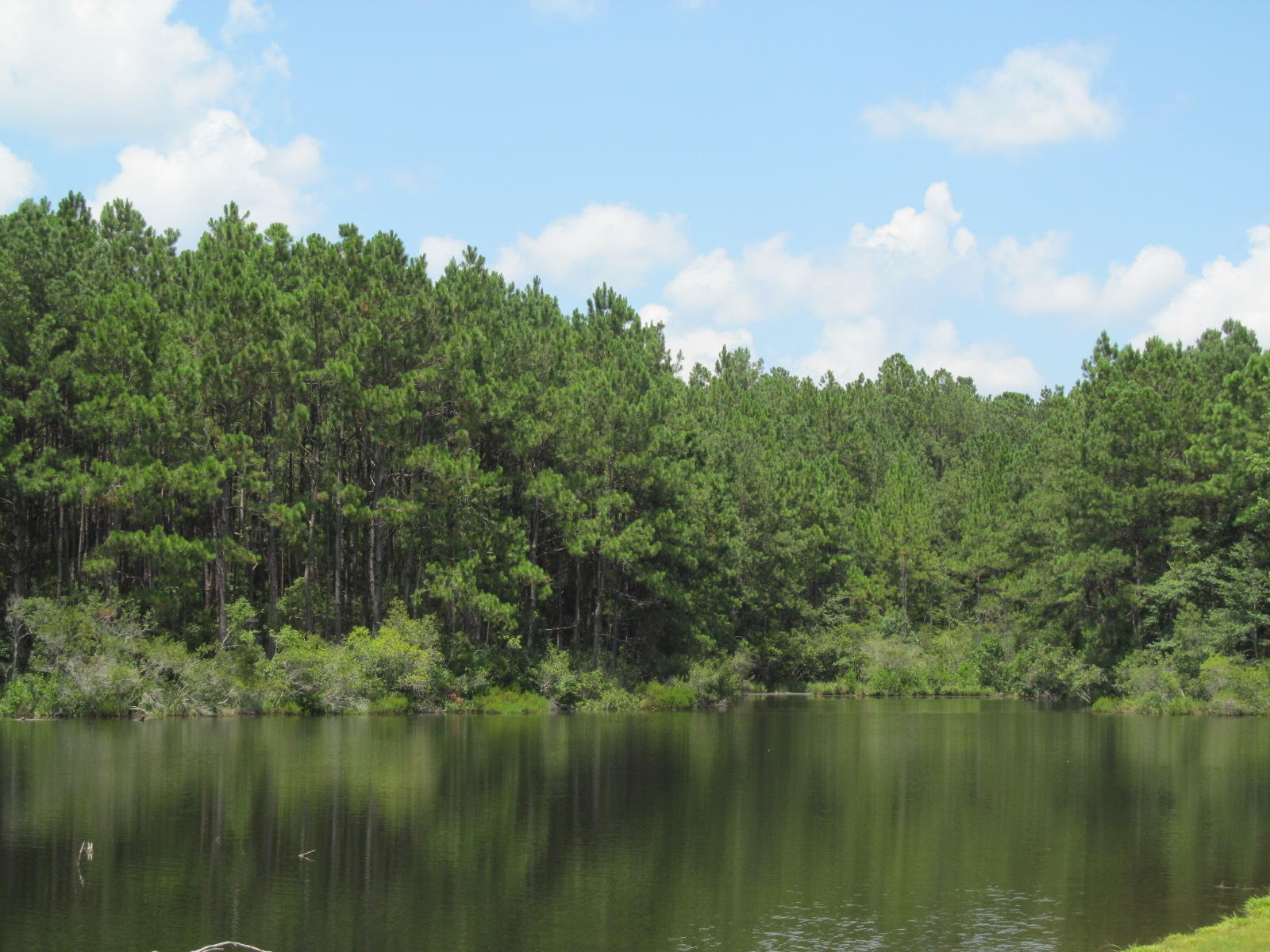1176 Douglass Crossroad Road DeFuniak Springs, FL 32435 - Photo 24 of 45 douglas crossroads 005 - Copy