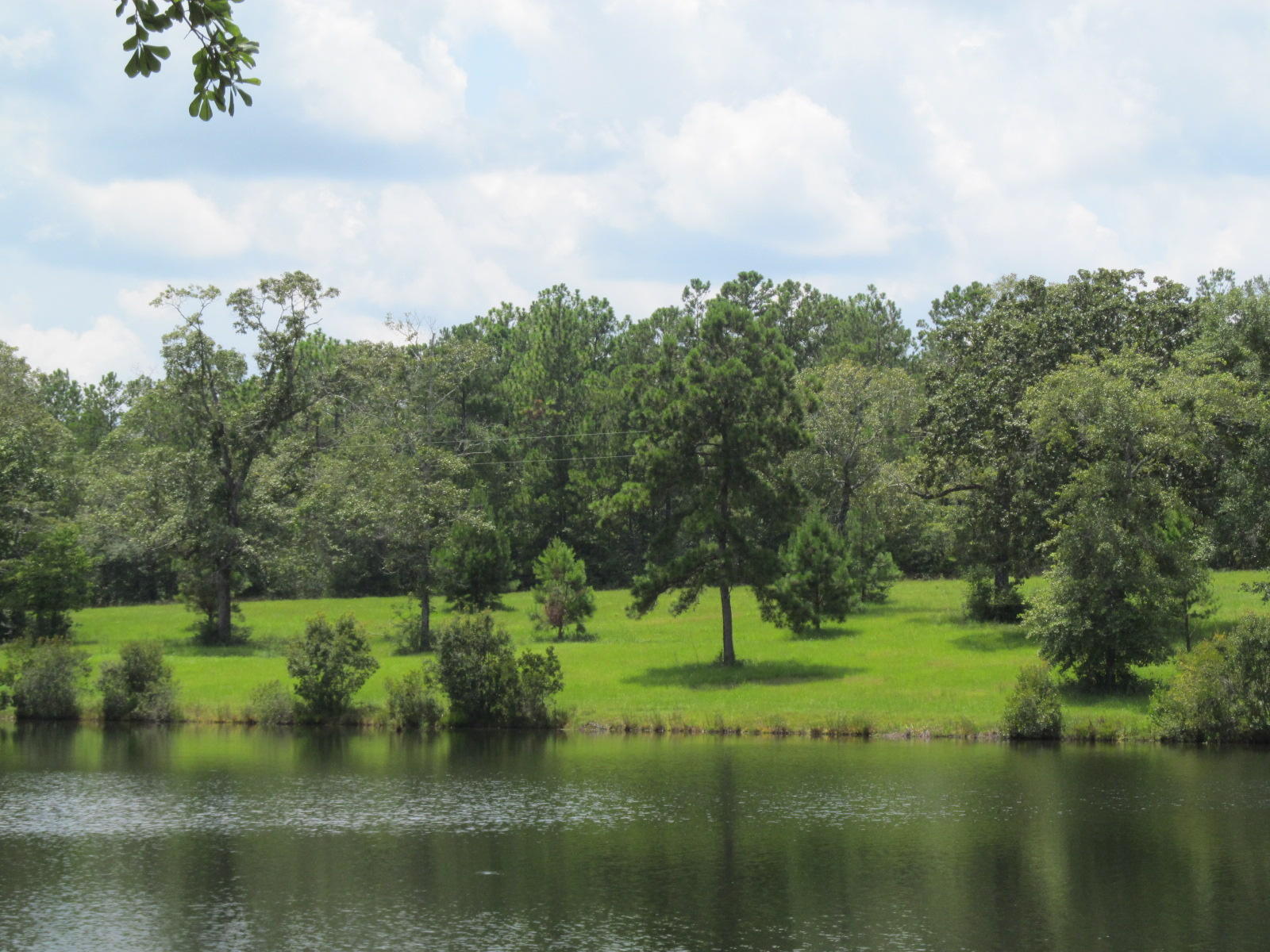 1176 Douglass Crossroad Road DeFuniak Springs, FL 32435 - Photo 25 of 45 douglas crossroads 004 - Copy
