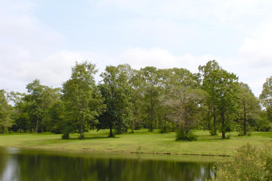1176 Douglass Crossroad Road DeFuniak Springs, FL 32435 - Photo 28 of 45 13