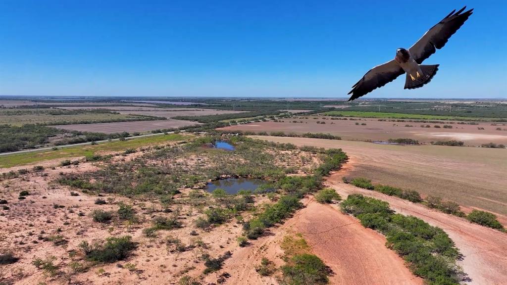 Tbd Tbd Fm-1770 Winters, TX 79567 - Photo 11 of 12 Soaring hawk over panoramic view of property.