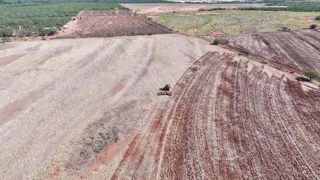 Tbd Tbd Fm-1770 Winters, TX 79567 - Photo 12 of 12 Wheat harvest