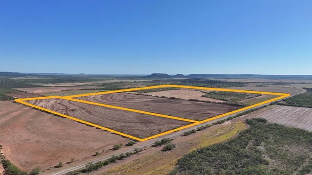 a view of a big yard