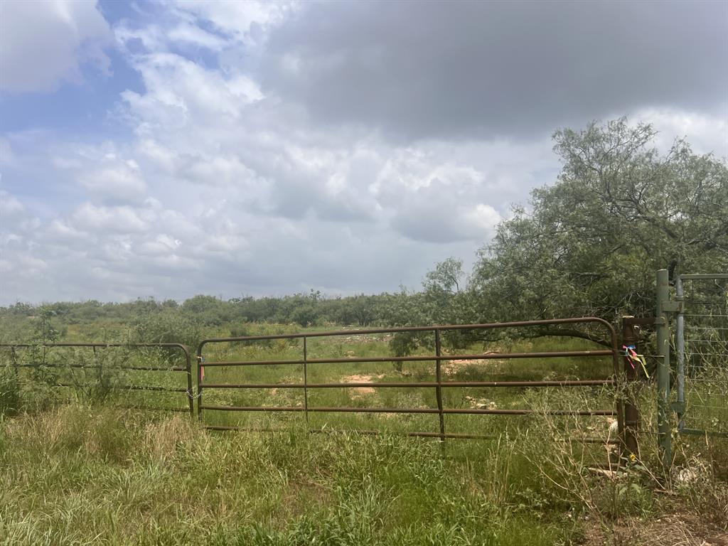 Tbd Tbd Fm-1770 Winters, TX 79567 - Photo 6 of 12 Easternmost boundary gate and access point for showing property.