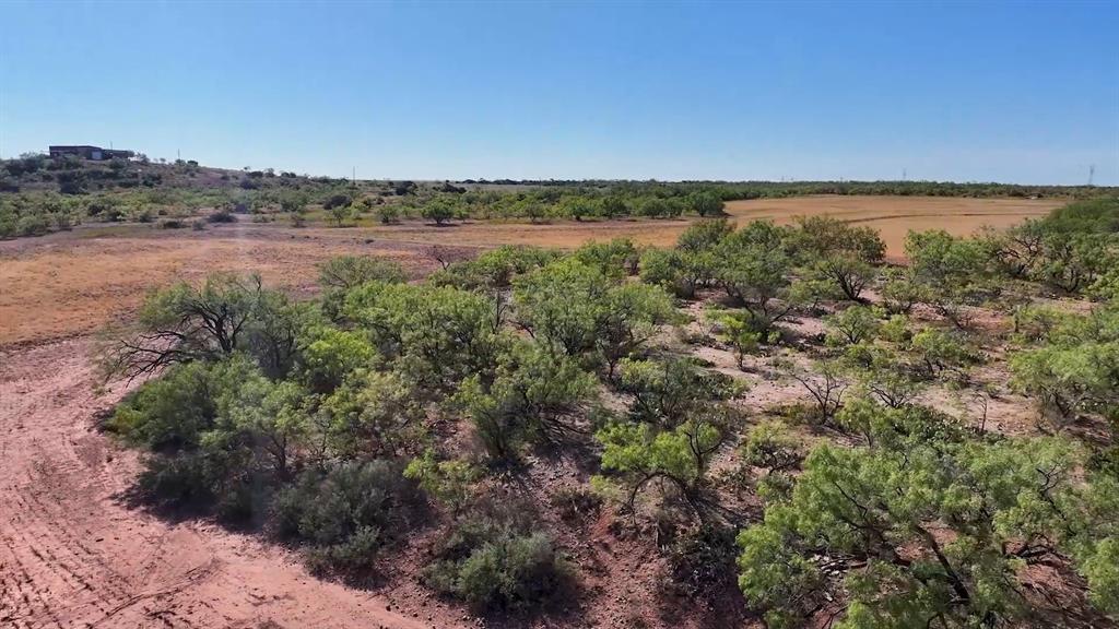 Tbd Tbd Fm-1770 Winters, TX 79567 - Photo 7 of 12 Brushy cover and cultivated land