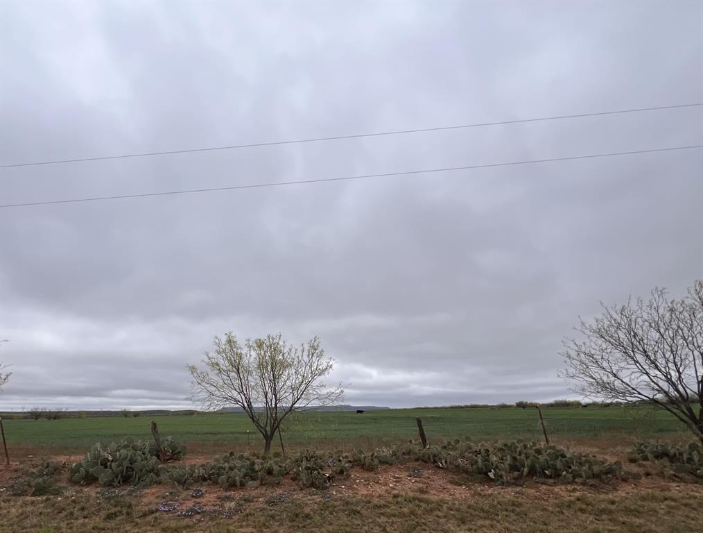 Tbd Tbd Fm-1770 Winters, TX 79567 - Photo 8 of 12 Cattle, electricity and Table Mountain