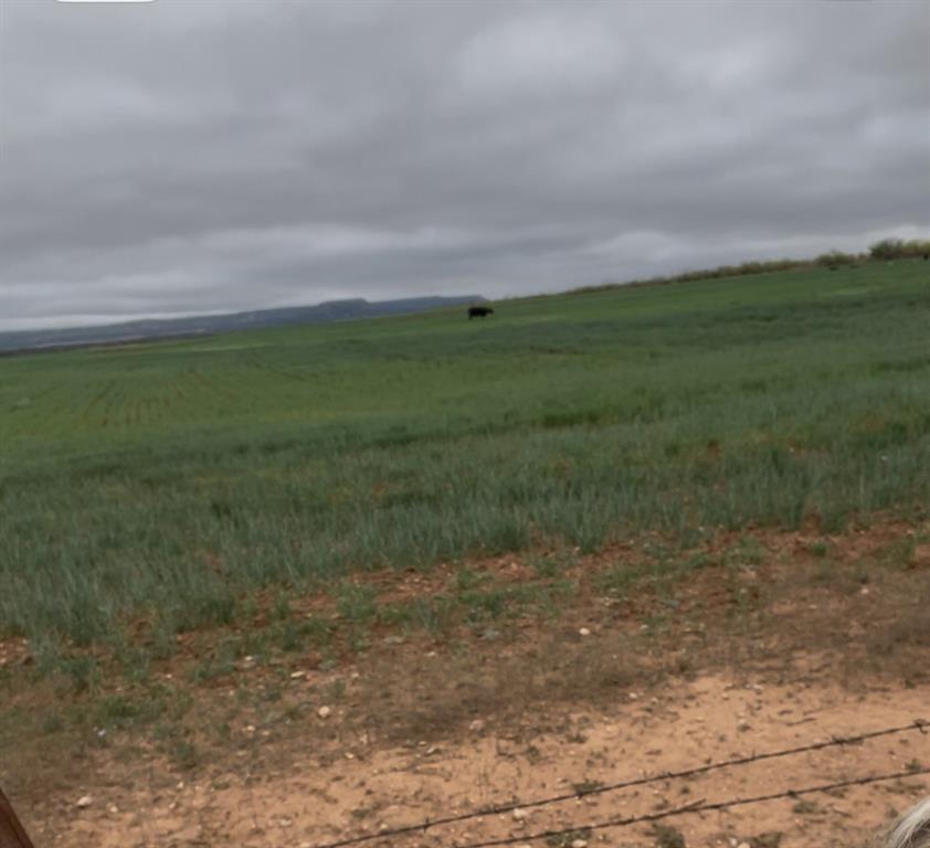 Tbd Tbd Fm-1770 Winters, TX 79567 - Photo 9 of 12