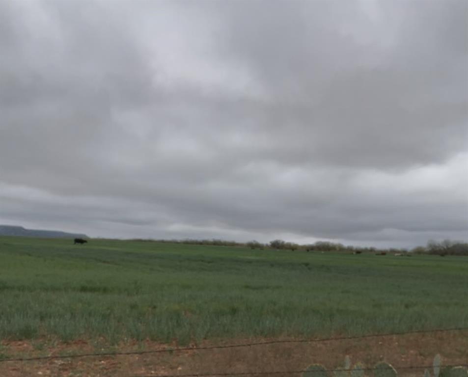Tbd Tbd Fm-1770 Winters, TX 79567 - Photo 10 of 12