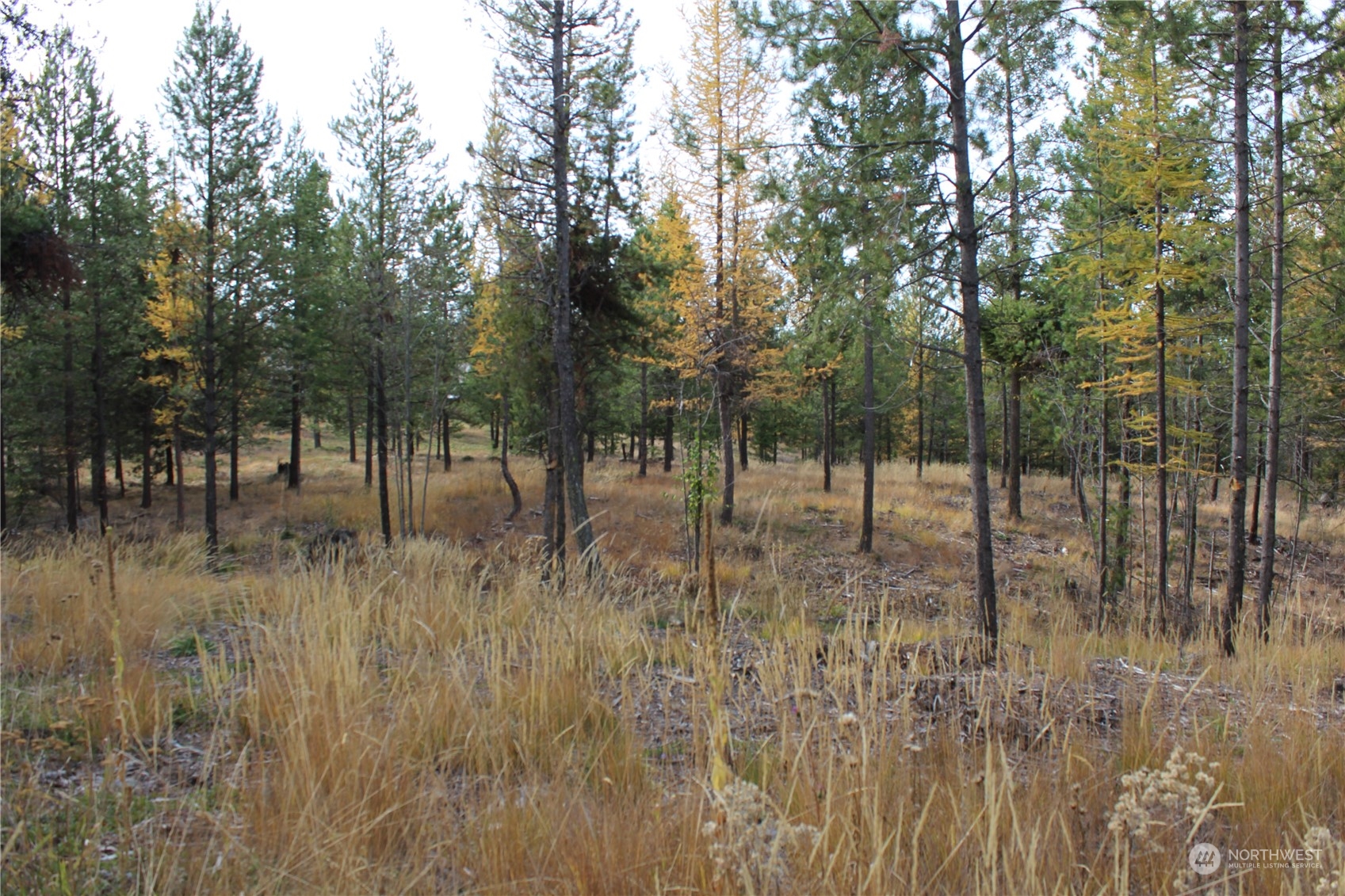 -tbd Stagecoach Trail Riverside, WA 98849 - Photo 1 of 5 Gallery Image 1