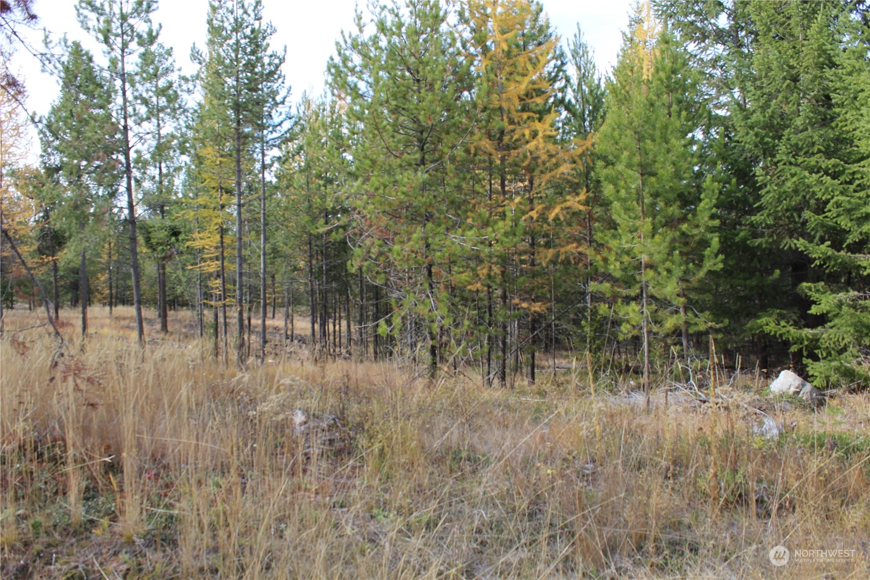 -tbd Stagecoach Trail Riverside, WA 98849 - Photo 3 of 5 Gallery Image 3