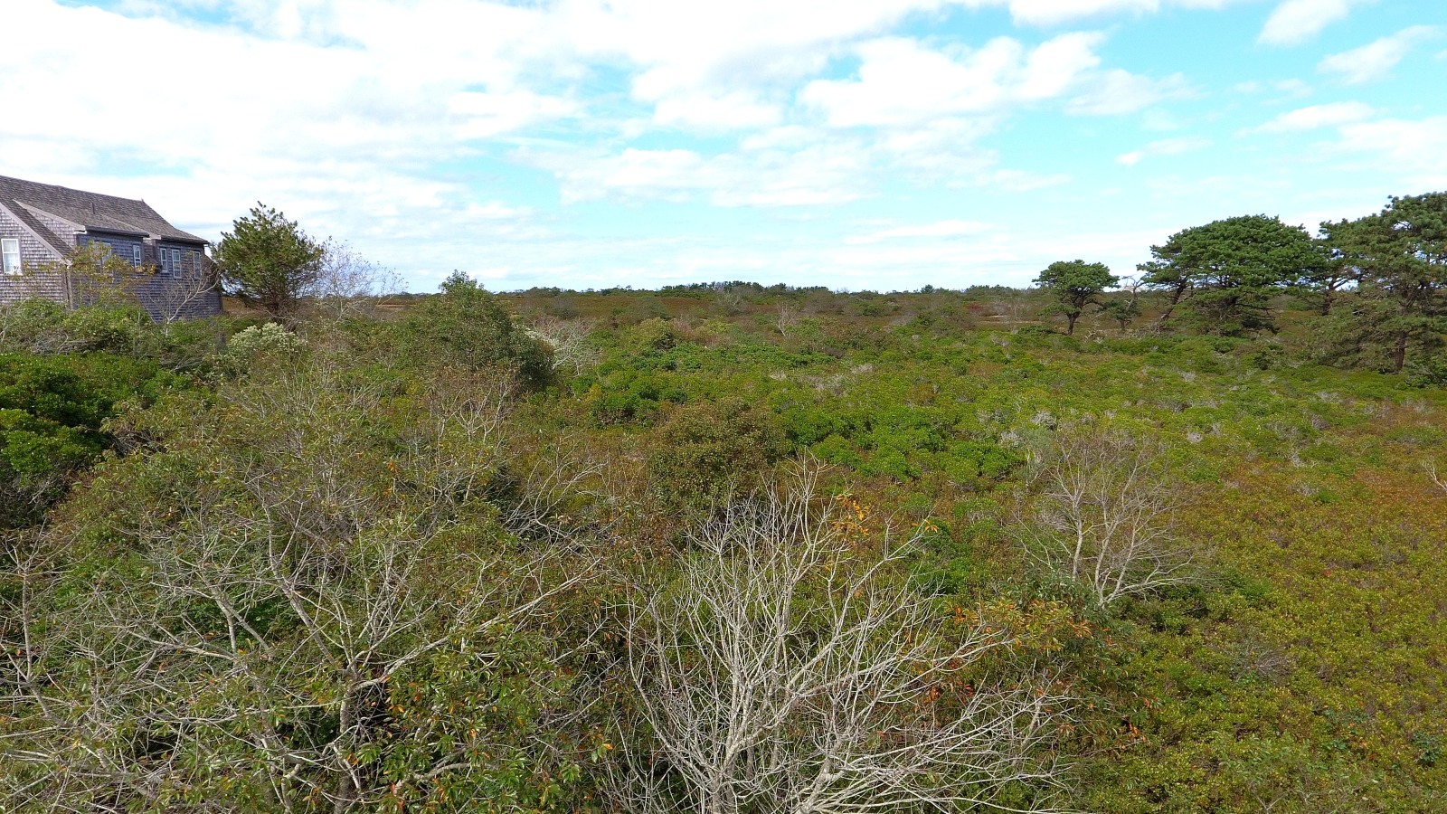 29 Ridge Lane Nantucket, MA 02554 - Photo 4 of 5 Gallery Image 4