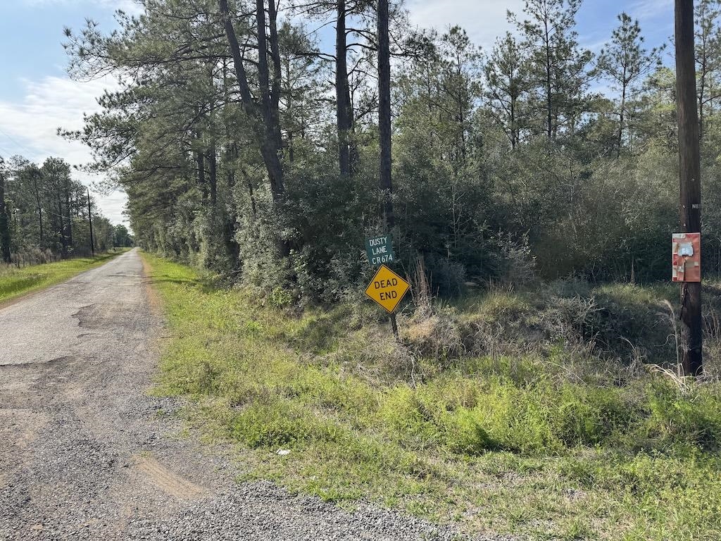 Five 5 Acre Tract Road Buna, TX 77612 - Photo 4 of 13