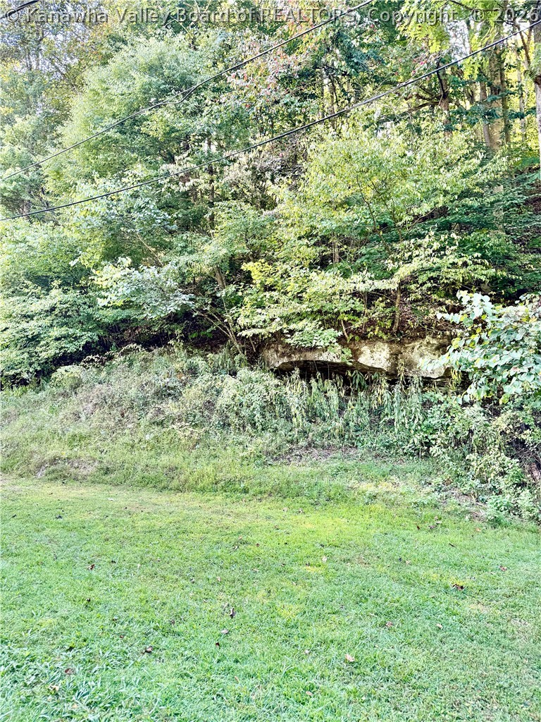 264 Barberry Road Ranger, WV 25557 - Photo 26 of 31 Gallery Image 26
