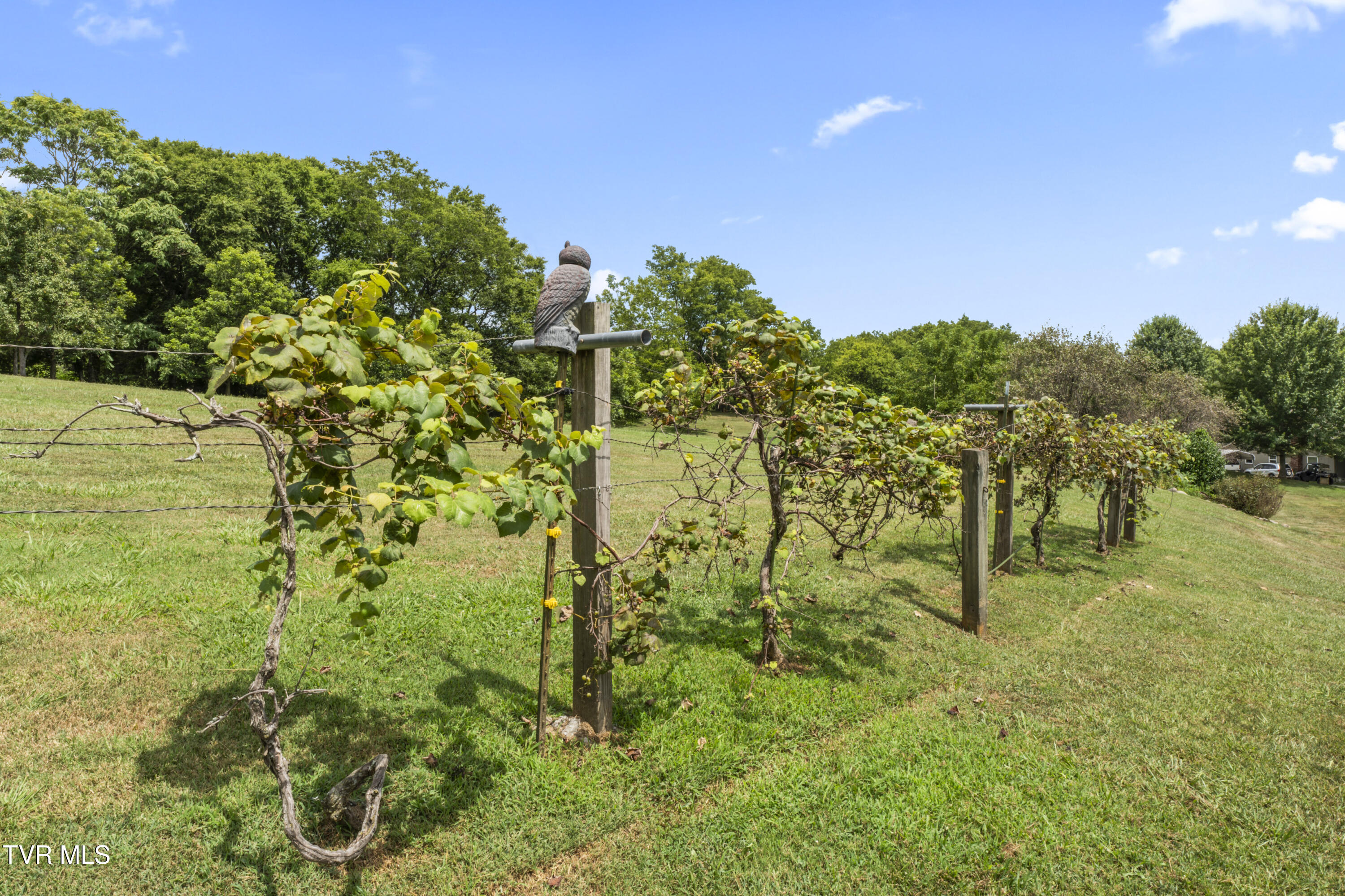 554 Briggs Road Dandridge, TN 37725 - Photo 37 of 43 photos_high_resolution_DSC00505