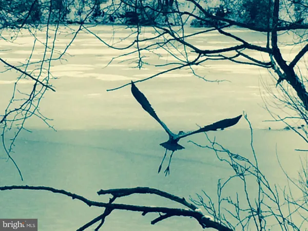 $3,300 | 7961 Yancey Drive, Falls Church, VA 22042