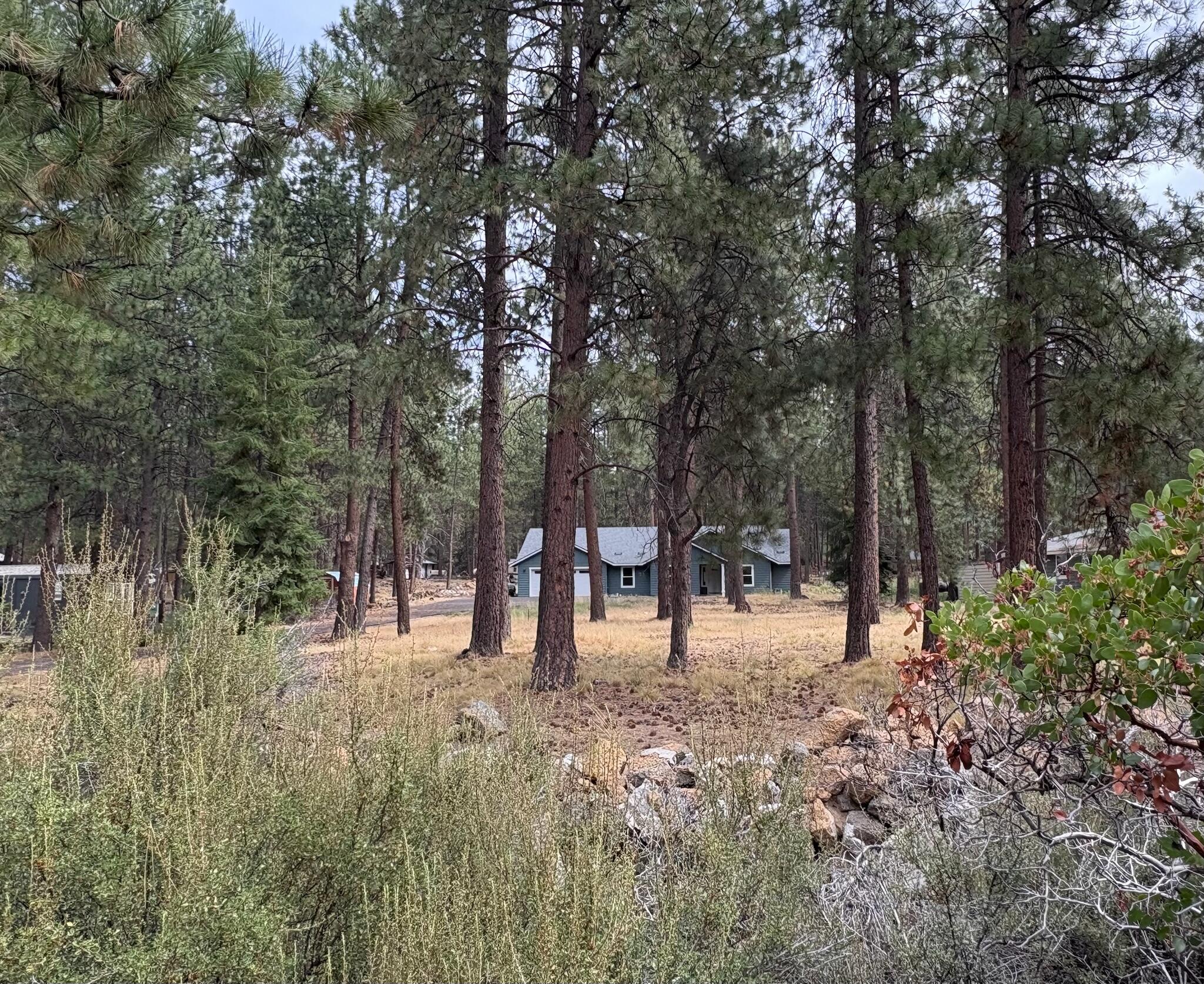 60154 Turquoise Road Bend, OR 97702 - Photo 3 of 23 54