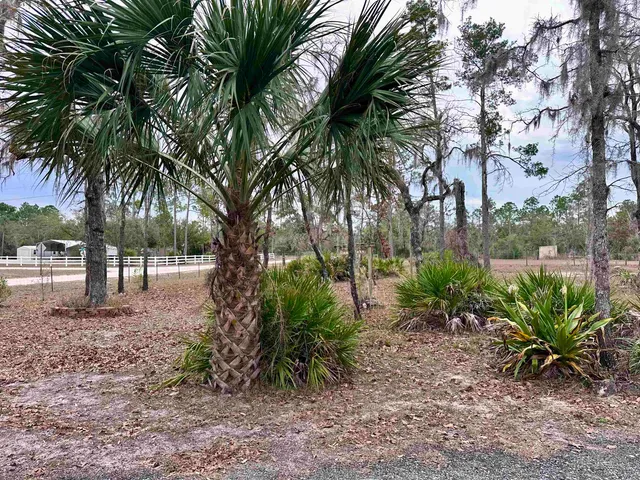 $329,000 | 15129 East Royal Oak Drive, Perry, FL 32348