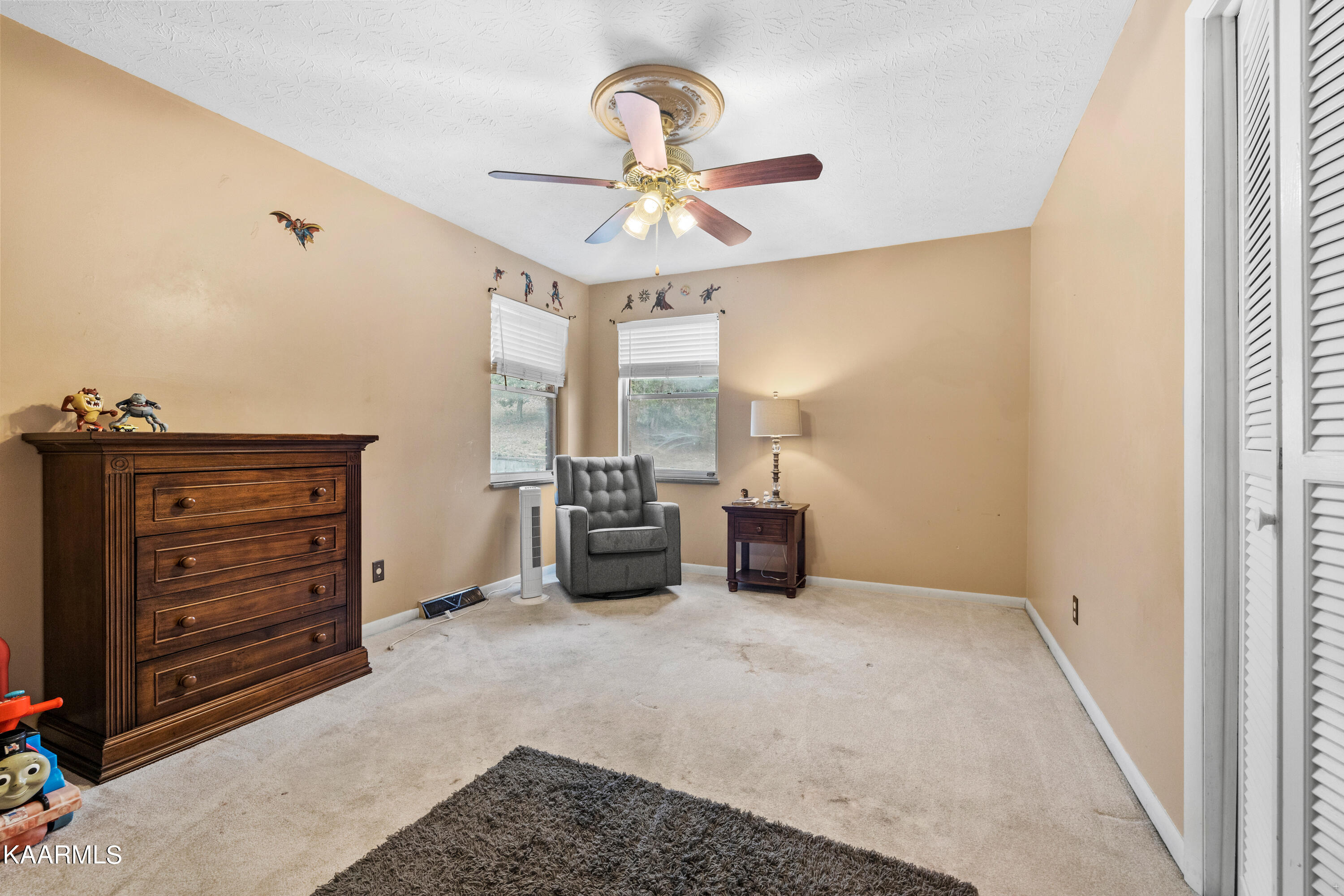 303 Spring Street Maynardville, TN 37807 - Photo 20 of 33 Positive Perceptions-20