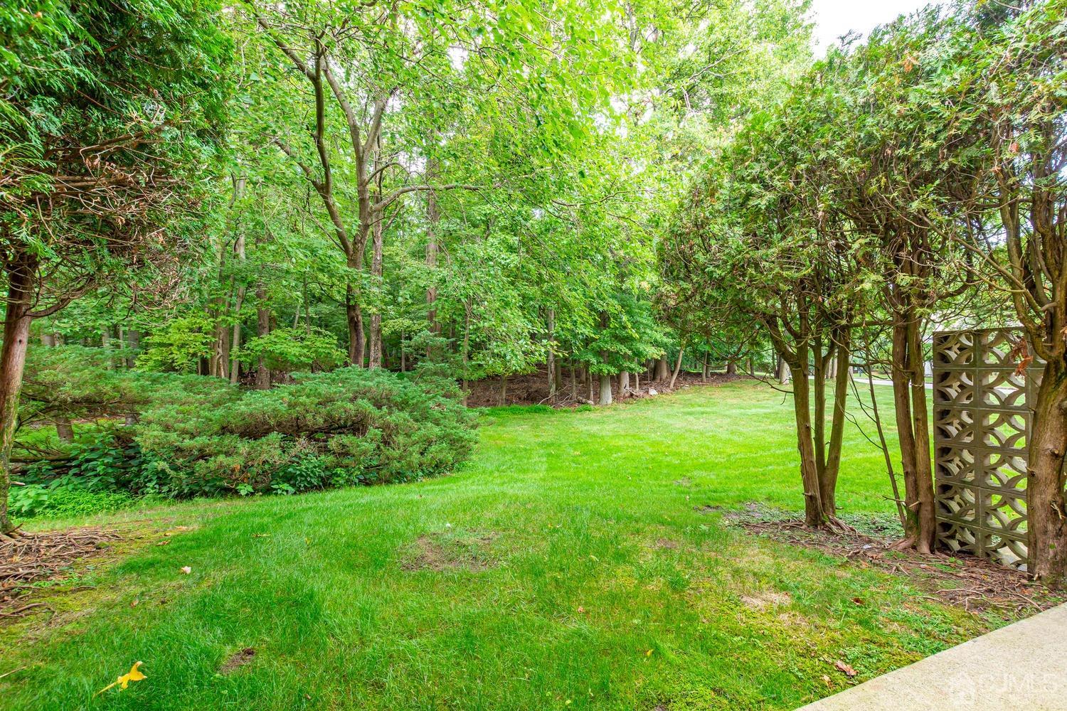 4303 Springbrook Drive Edison, NJ 08820 - Photo 40 of 40 a view of green field with trees