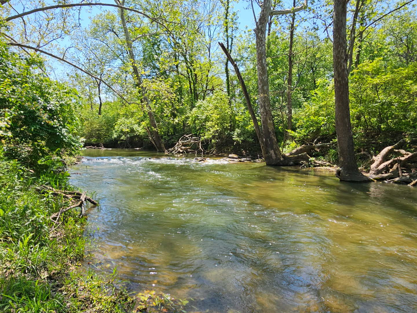 17539 East 2600 North Road Lexington, IL 61753 - Photo 89 of 97