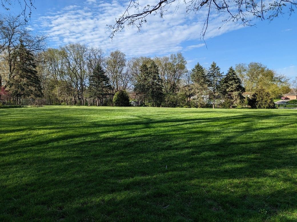 11640 Bend River Road Roscoe, IL 61073 - Photo 8 of 9 a grassy field with trees in the background