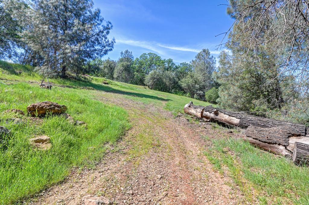 3716 Murphy Ranch Road Placerville, CA 95667 - Photo 67 of 87