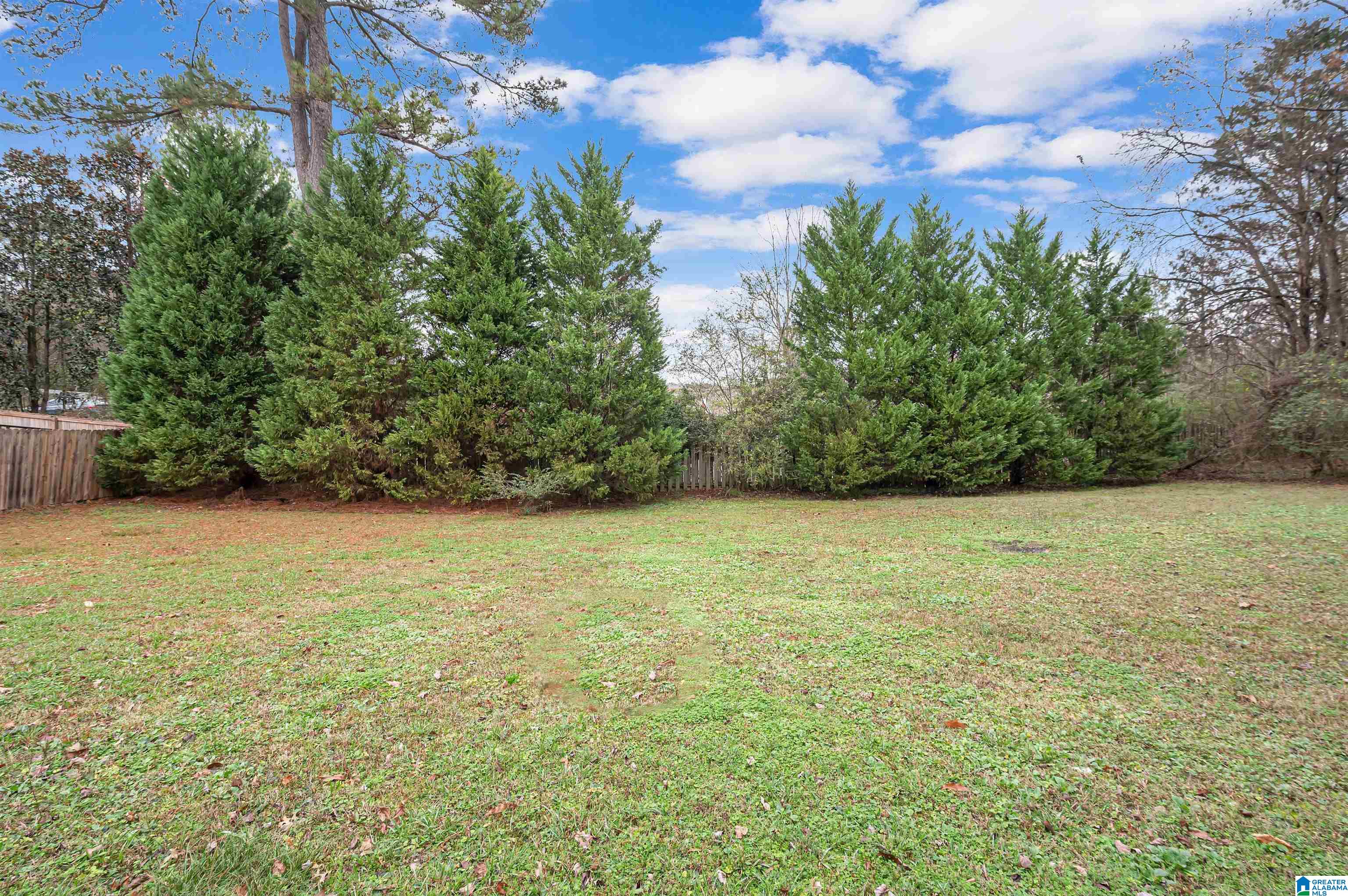 429 Cedar Trace Birmingham, AL 35244 - Photo 47 of 48