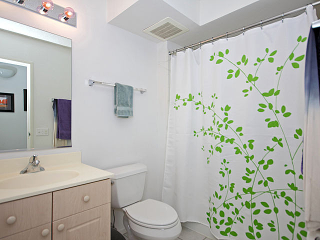 1720 Maple Avenue, Unit 1880 Evanston, IL 60201 - Photo 10 of 15 a bathroom with a sink and toilet