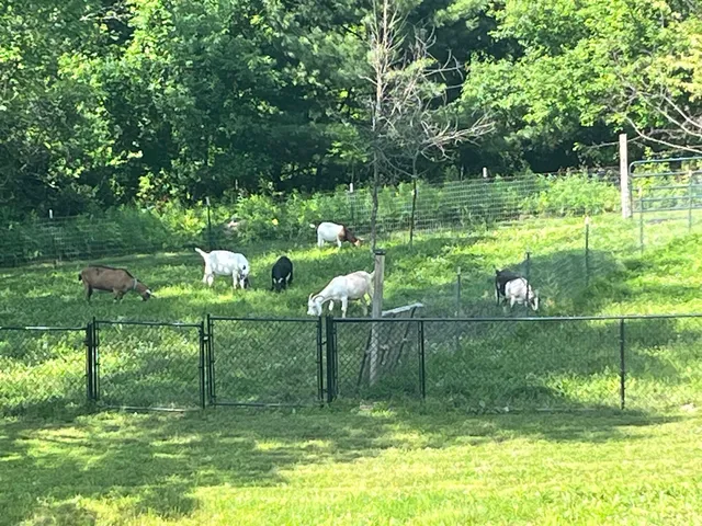 $449,500 | 114 Monument Hill Road, Springfield, VT 05156