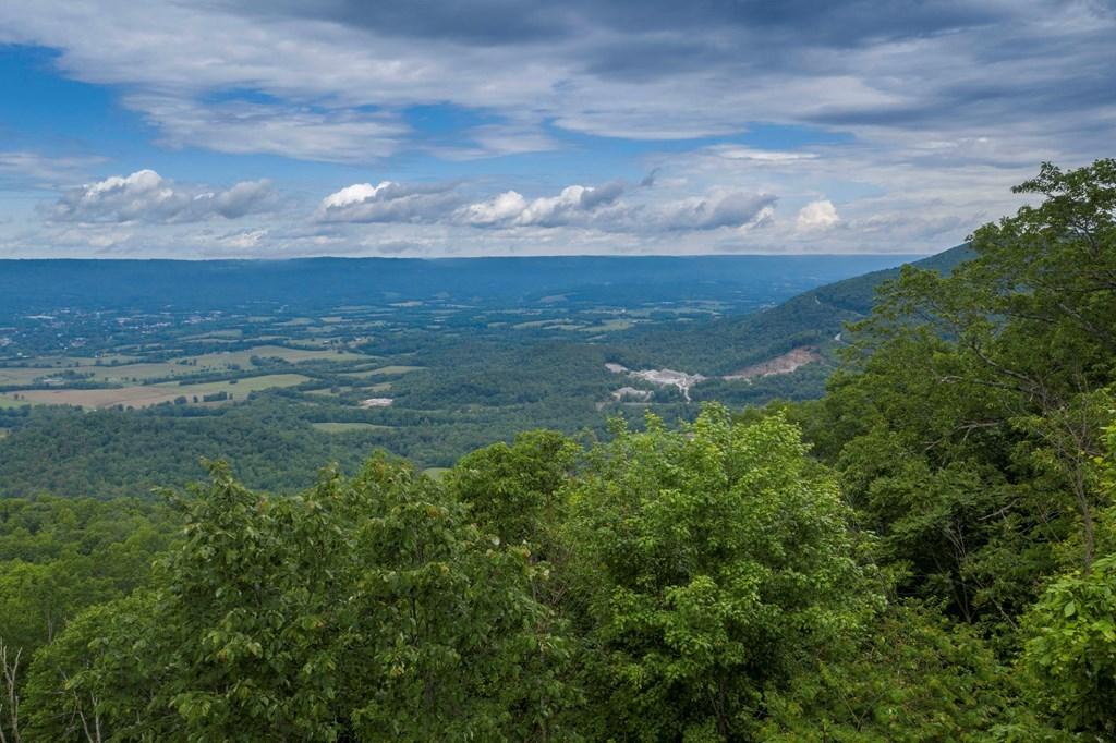 1405 Rigsby Gap Road Pikeville, TN 37367 - Photo 21 of 29 21