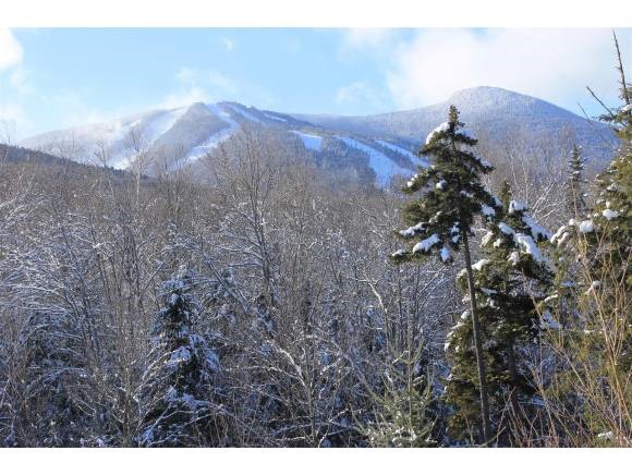 125 West Branch Road Waterville Valley, NH 03215 - Photo 1 of 1