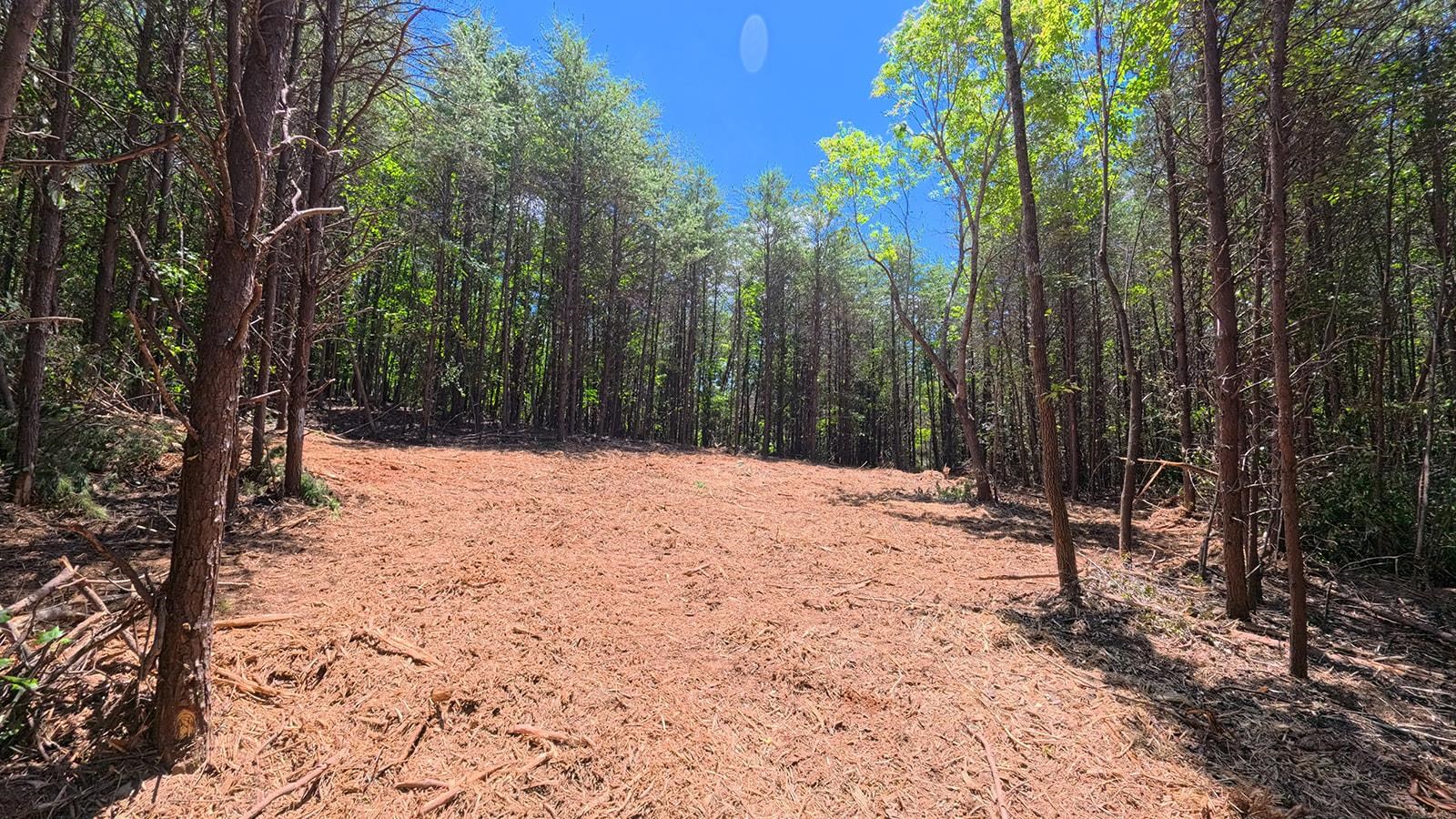 2109 Riddle Road Pauline, SC 29374 - Photo 1 of 14