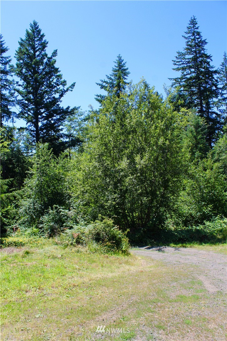 111 Deer Road Quilcene, WA 98376 - Photo 13 of 18 Gallery Image 13
