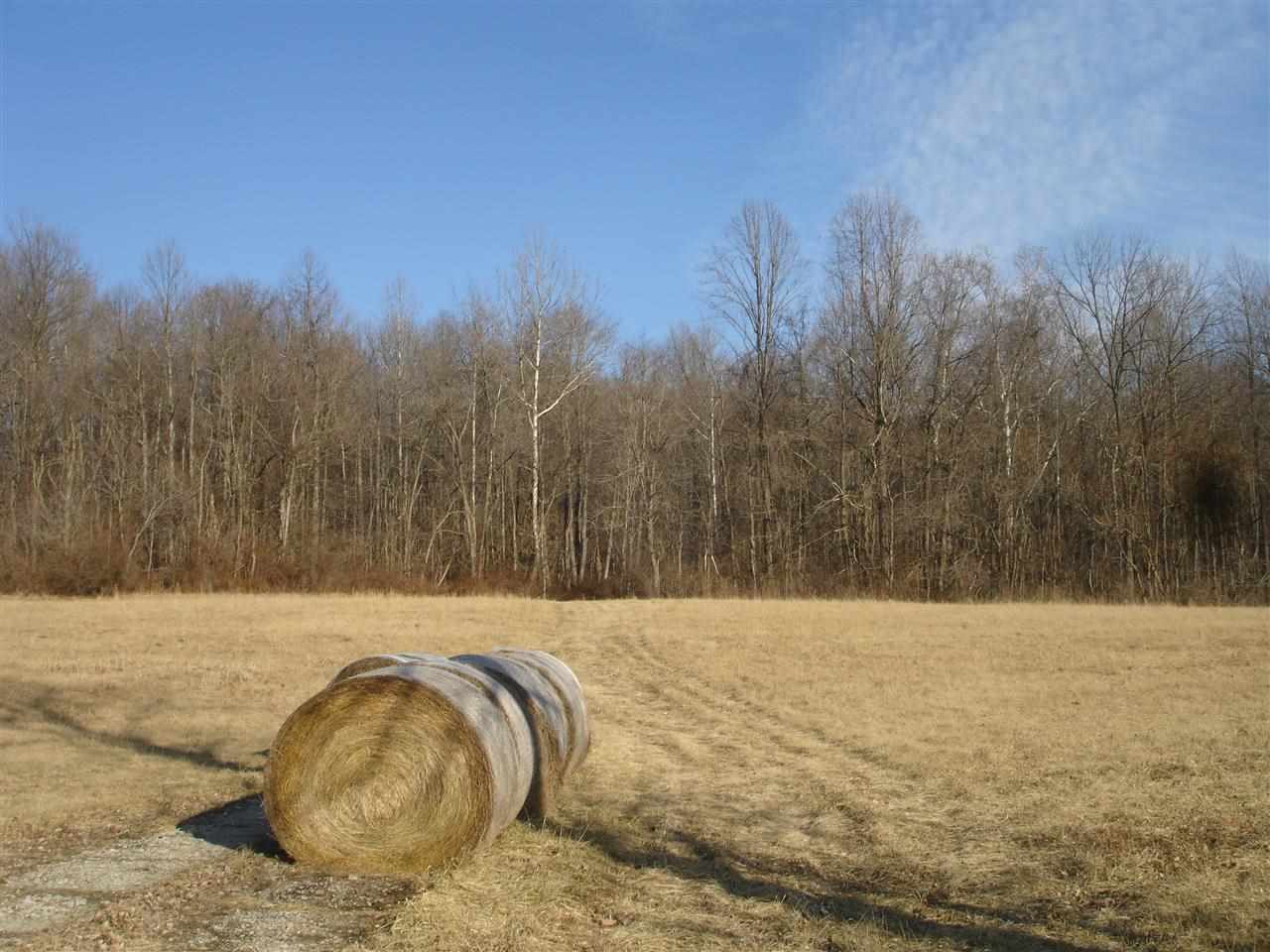 2174 Country Club Road Spencer, IN 47460 - Photo 4 of 4