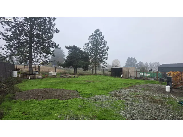 a black and white photo of a park