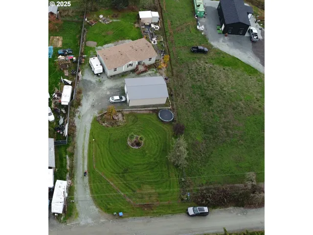a black and white photo of a garden