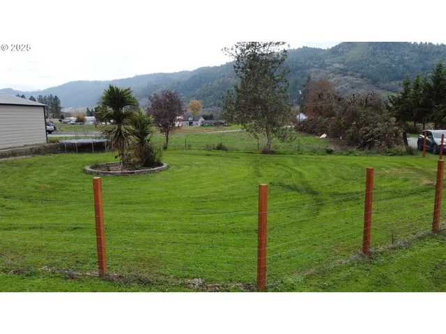 a black and white photo of a garden