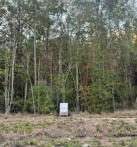 a view of a forest with a tree