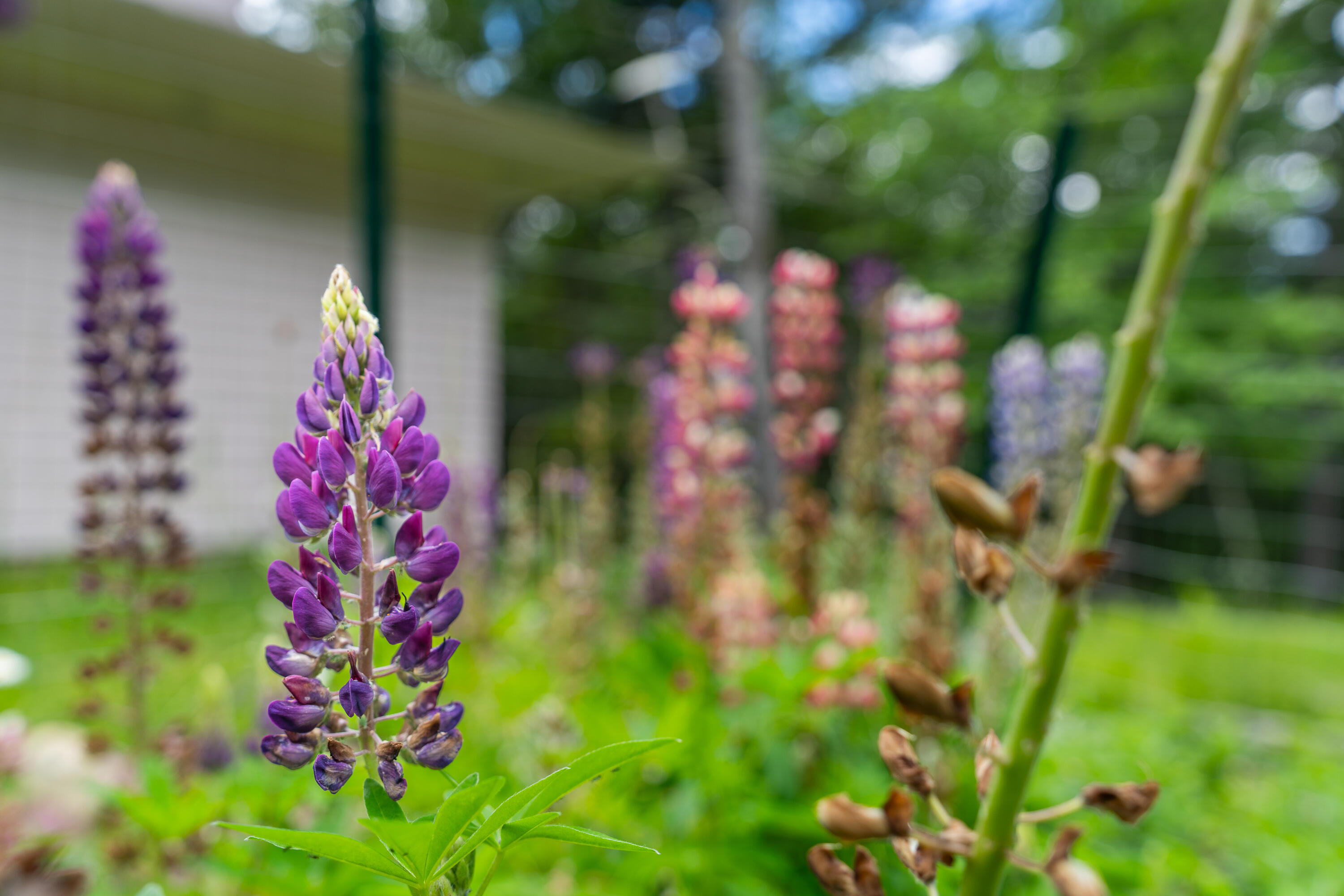 52 Oak Run Road Westport Island, ME 04578 - Photo 146 of 200
