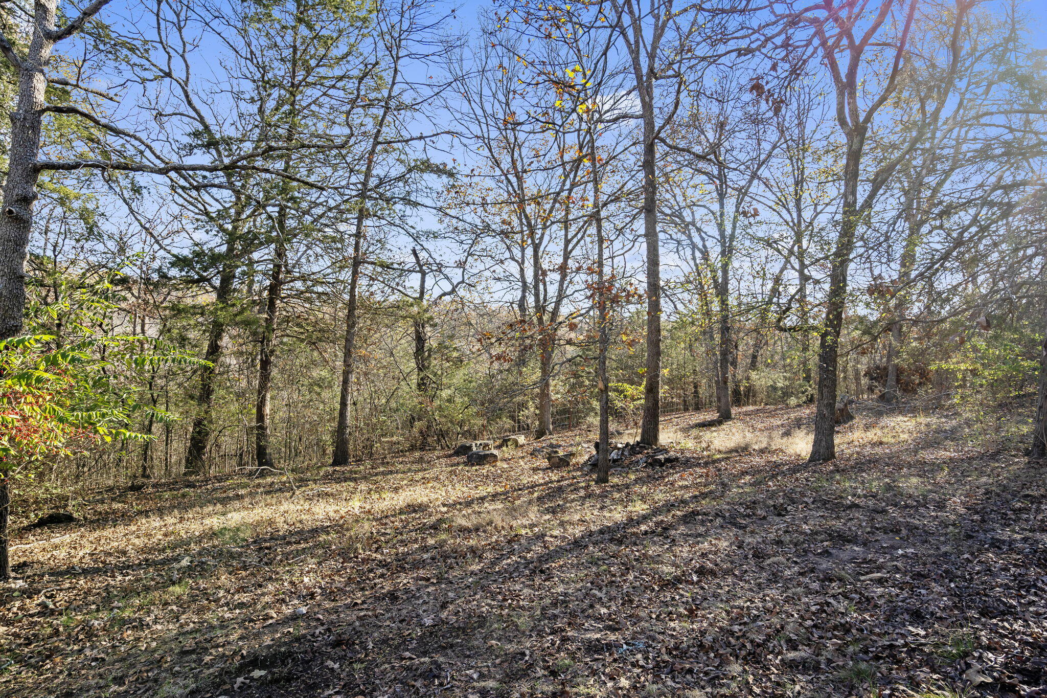 474 Double O 9 Road Reeds Spring, MO 65737 - Photo 26 of 54 Double O 9 Road (25)
