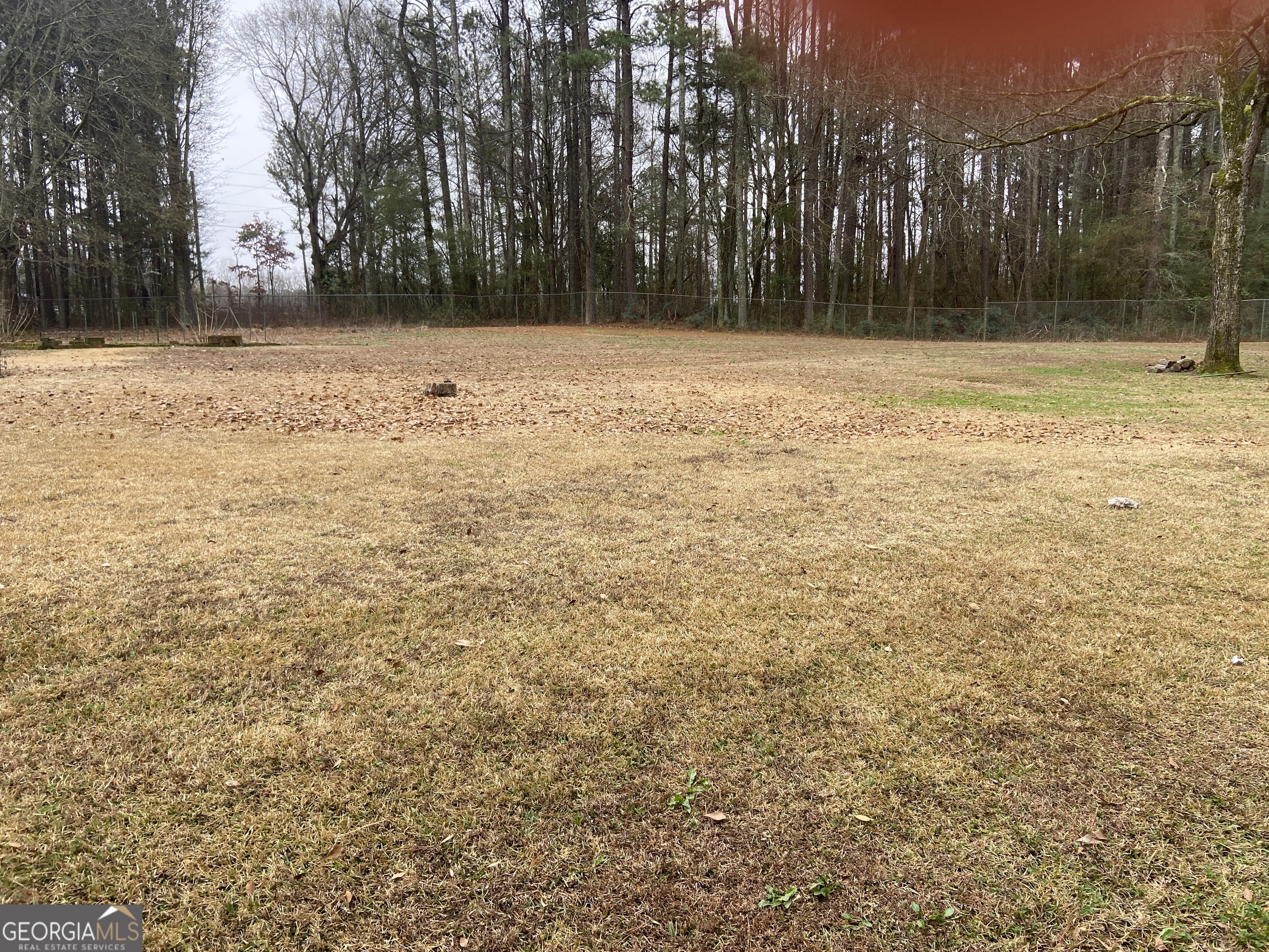 1309 Tom Miller Road Bethlehem, GA 30620 - Photo 32 of 32 a view of a yard with trees