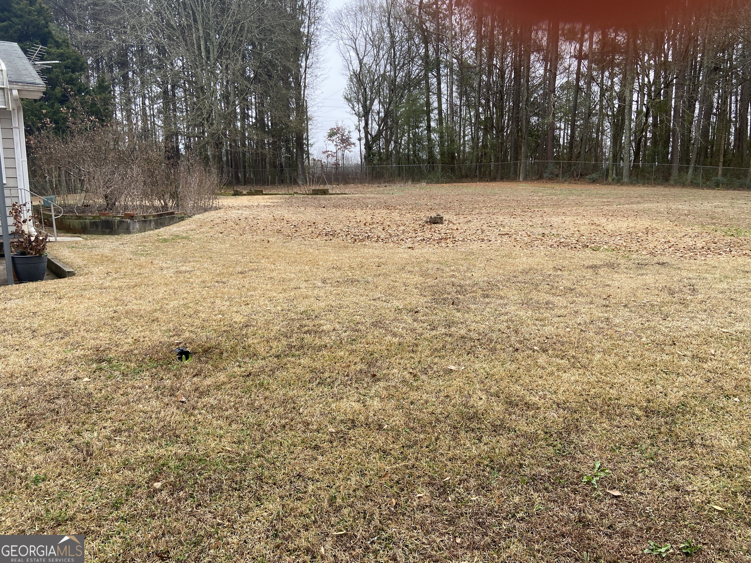 1309 Tom Miller Road Bethlehem, GA 30620 - Photo 7 of 32 a view of a yard with trees