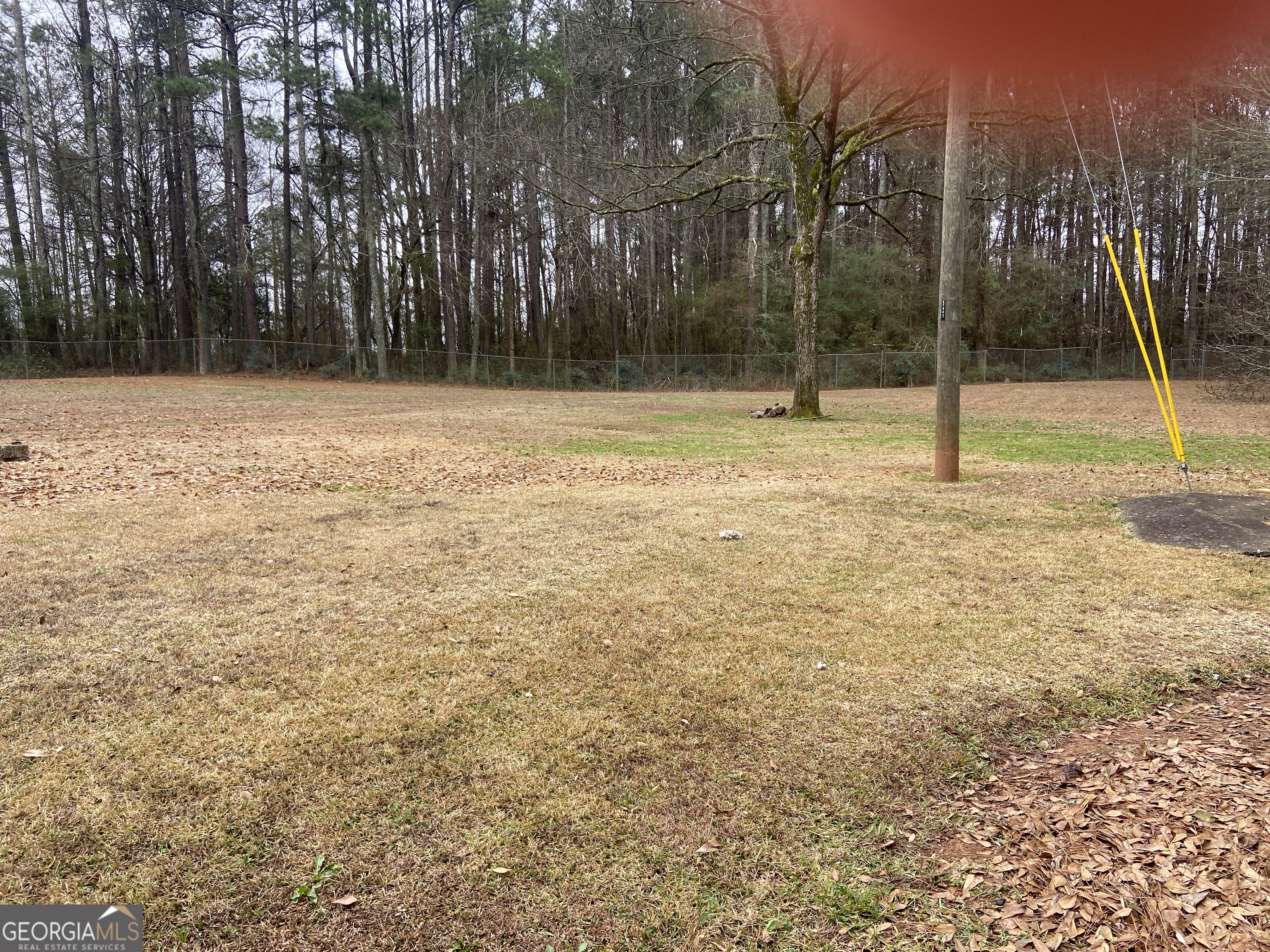 1309 Tom Miller Road Bethlehem, GA 30620 - Photo 8 of 32 a backyard of a house with lots of tress