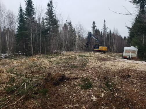 24 Georgetown Woods Road Columbia Falls, ME 04623 - Photo 6 of 6 Georgetown Woods Rd, Clearing 2