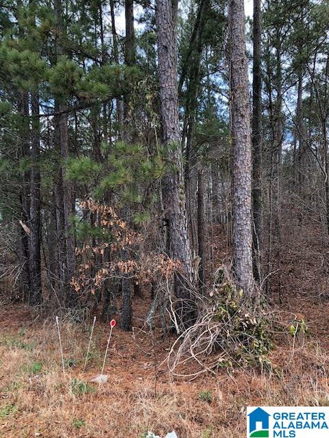0 Pleasant Valley Road, Unit 1 Jacksonville, AL 36265 - Photo 7 of 24