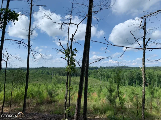 a view of a forest with a yard