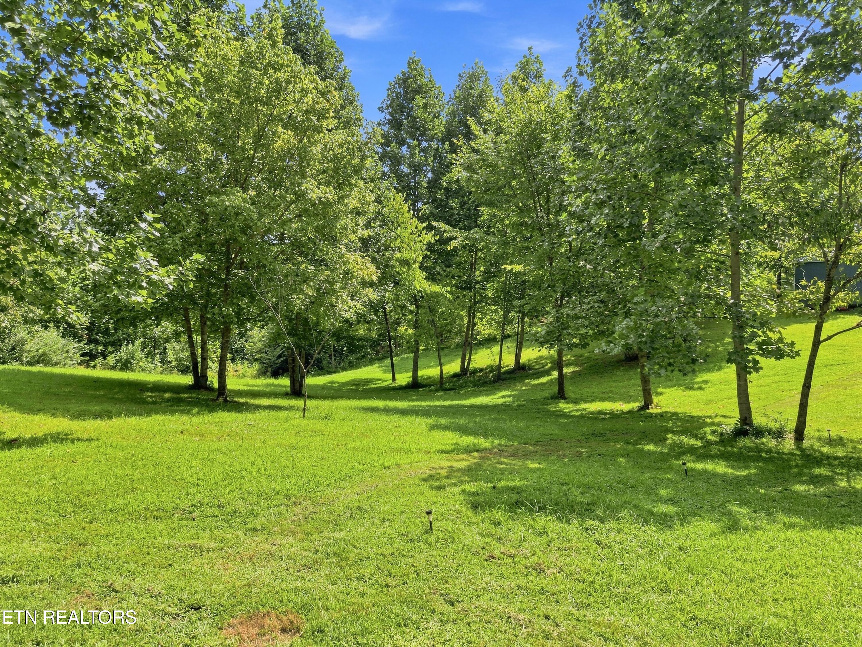 1133 Wheeler Road Harrogate, TN 37752 - Photo 2 of 38 19-Wheeler_Rd_019