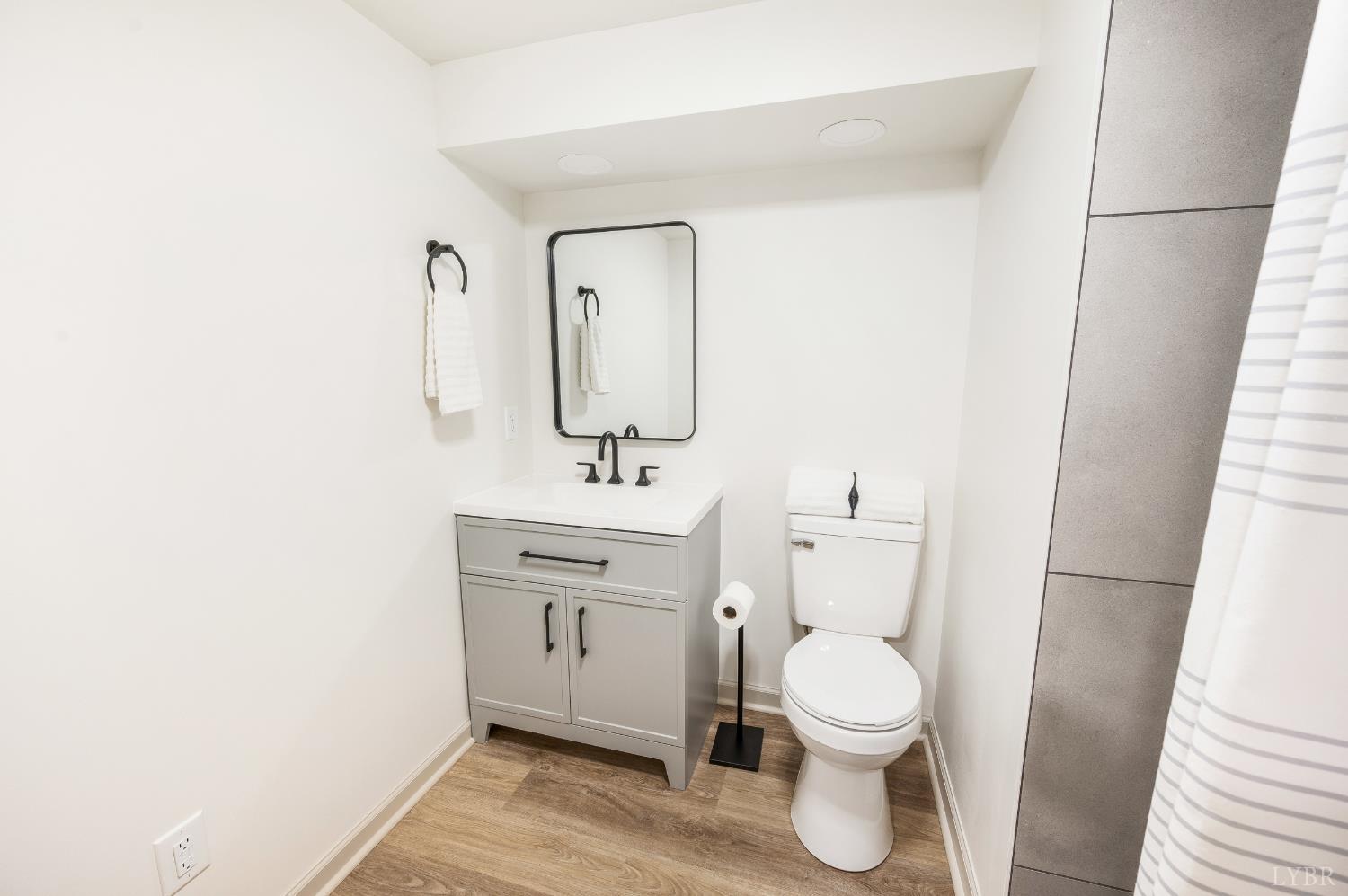 203 Ned Brown Road Amherst, VA 24521 - Photo 43 of 70 Basement Full Bath