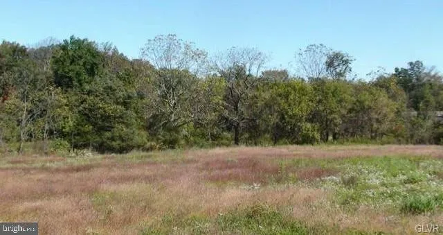 a view of a field with trees in the background