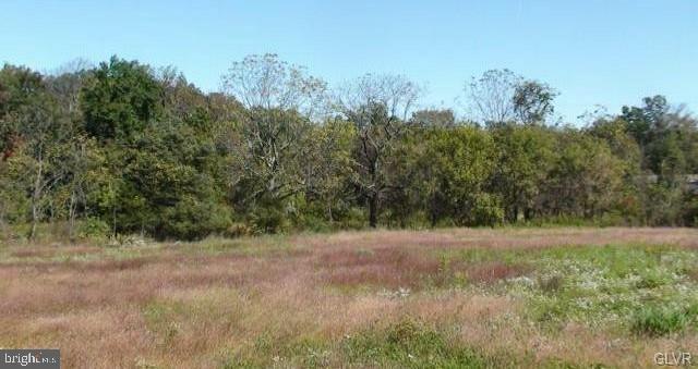 a view of a field with trees in the background
