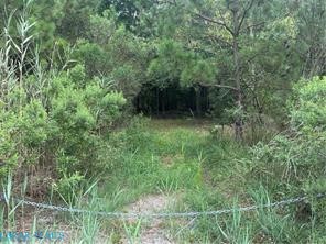 0 Kings Creek Road Hayes, VA 23072 - Photo 2 of 4